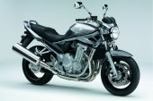 2010 Suzuki Bandit GSF650 photo